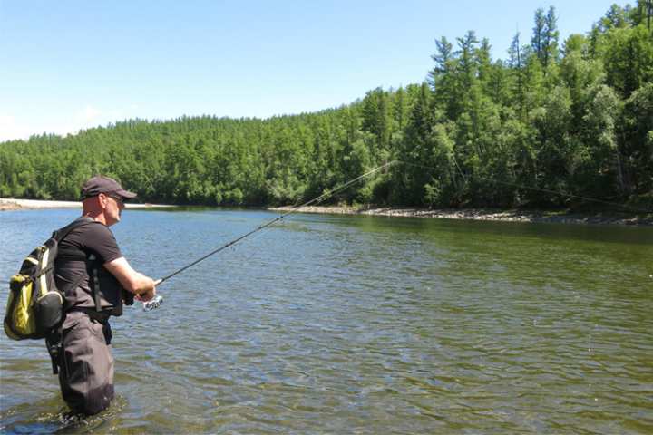 10 Best Bait and Tackle Shops in Georgia