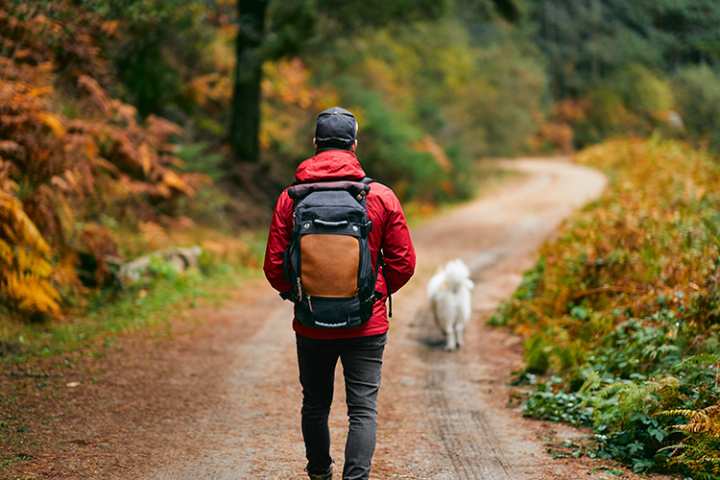 10 Best Dog-Friendly Hiking Trails in Kentucky!