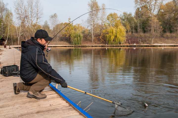 10 Best Bait and Tackle Shops in Tennessee