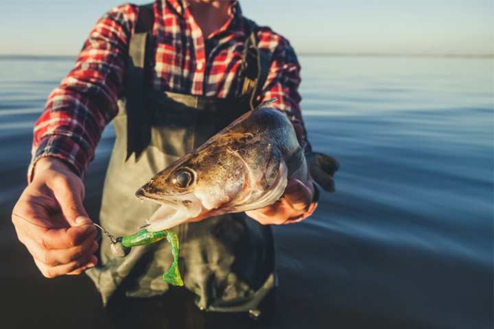 9 Best Bait and Tackle Shops in Wisconsin